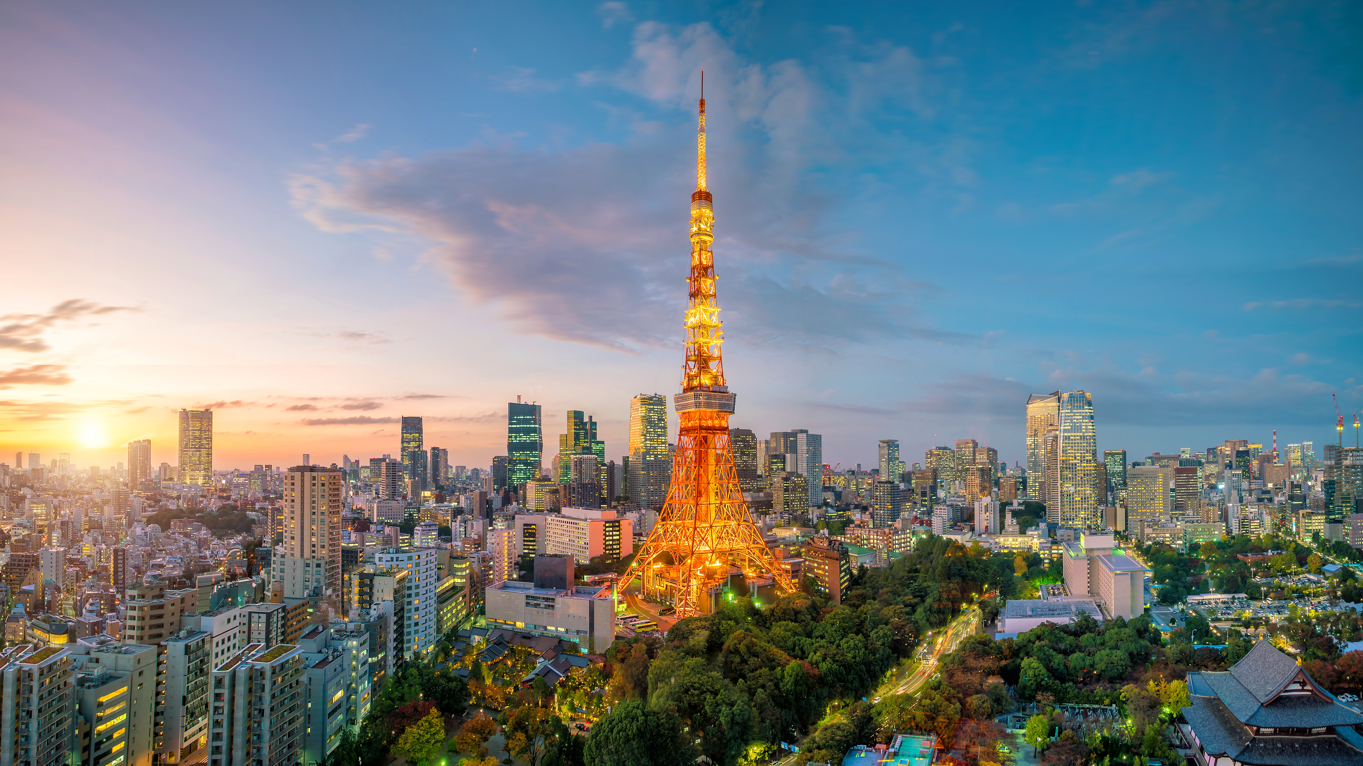 東京の夜景